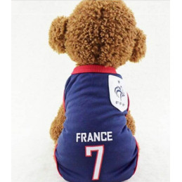 manteau chien psg