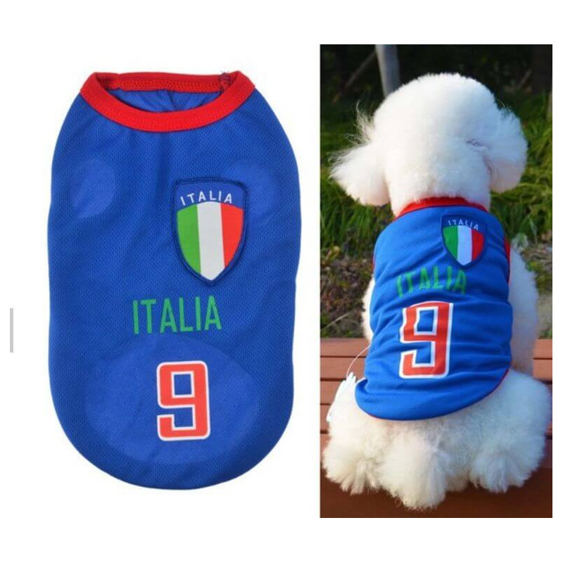 Maillot de foot pour petit chien