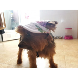casquette soleil pour yorkshire
