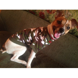maillot imprimé camouflage pour chien