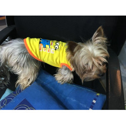 Débardeur minions pour chien