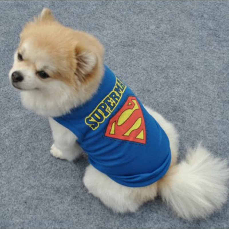 débardeur superman pour chien