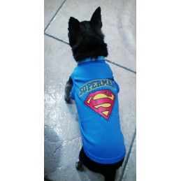 vêtement superman pour chien