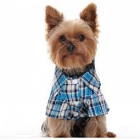 Vestes et chemises pour chien - mode canine - Vêt'chien