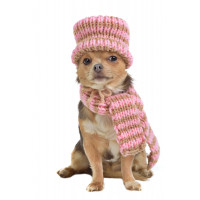 Echarpes et bonnets pour chien