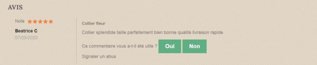 avis bijou pour chien
