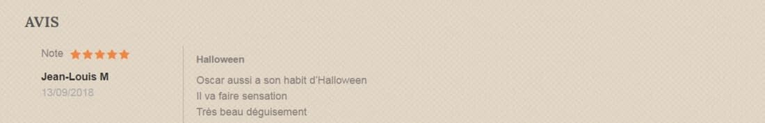 halloween citrouille pour chien