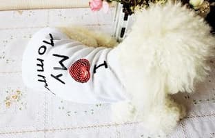 t-shirt love pour chien