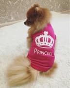 t-shirt de princesse pour femelle