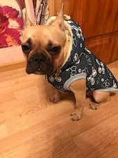 doudoune fleurie pour chienne