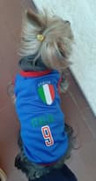 maillot foot équipe italie pour chien