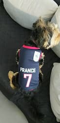 tenue de football pour chien