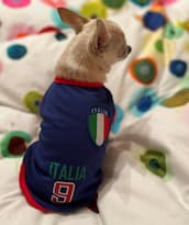 maillot équipe football italienne