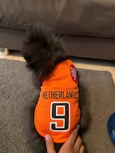 vêtement sportif de foot pour chien