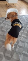 t-shirt de police spéciale pour petit chien
