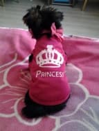 vêtement princesse pour chien