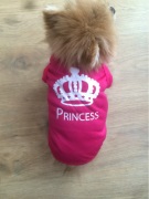 chienne en t-shirt de princesse