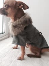 manteau contre le froid pour chien