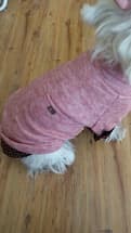 pull rose en laine pour petit chien
