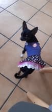 robe salopette mode jean