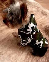pull camouflage à capuche pour chien