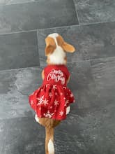 robe rouge avec flocons pour fêter Noël