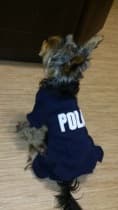 combinaison 4 pattes police pour chien
