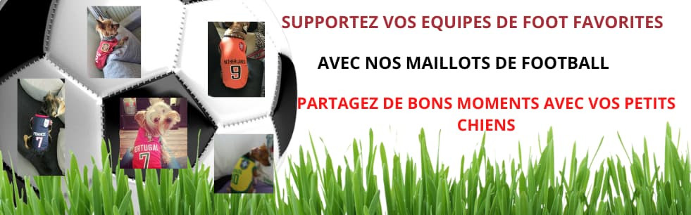 maillot de foot pour chien