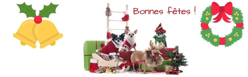 habit de noel pour chien