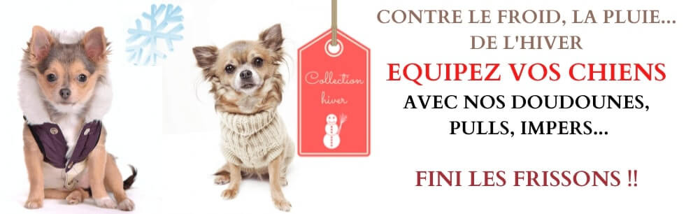 Vetement chien pas cher deals