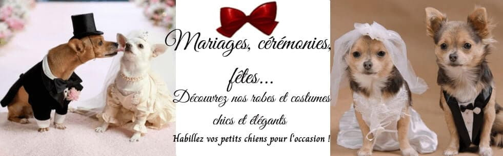 costumes et robes de mariage pour chien