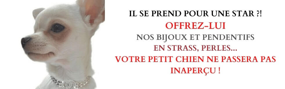 bijoux et pendentifs pour chien