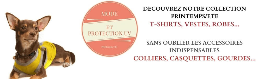 t-shirts et robes pour chien 