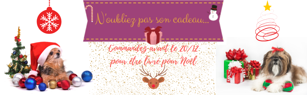 cadeau de noel pour chien