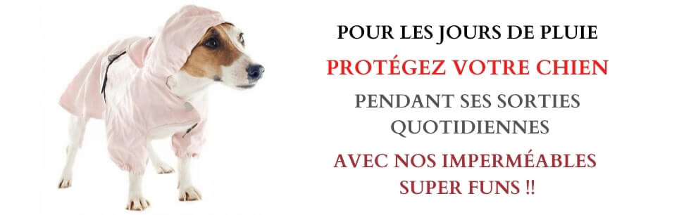 imperméables pour chien